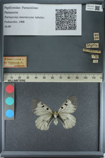 Media type: image;   Entomology 180101